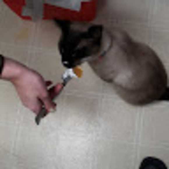 beckercat75